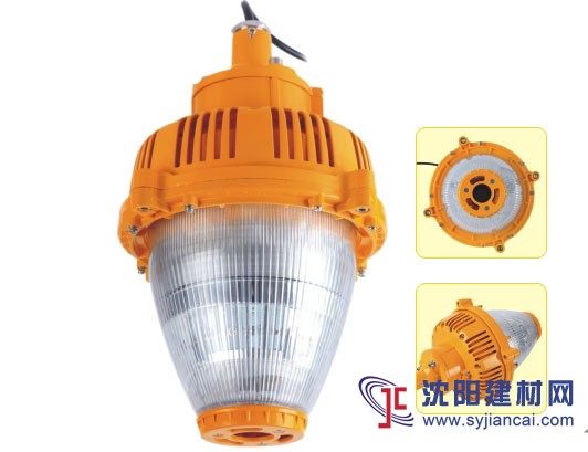 正輝BPC6233-LED24W防爆平臺燈