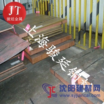 供應進口C18500銅棒