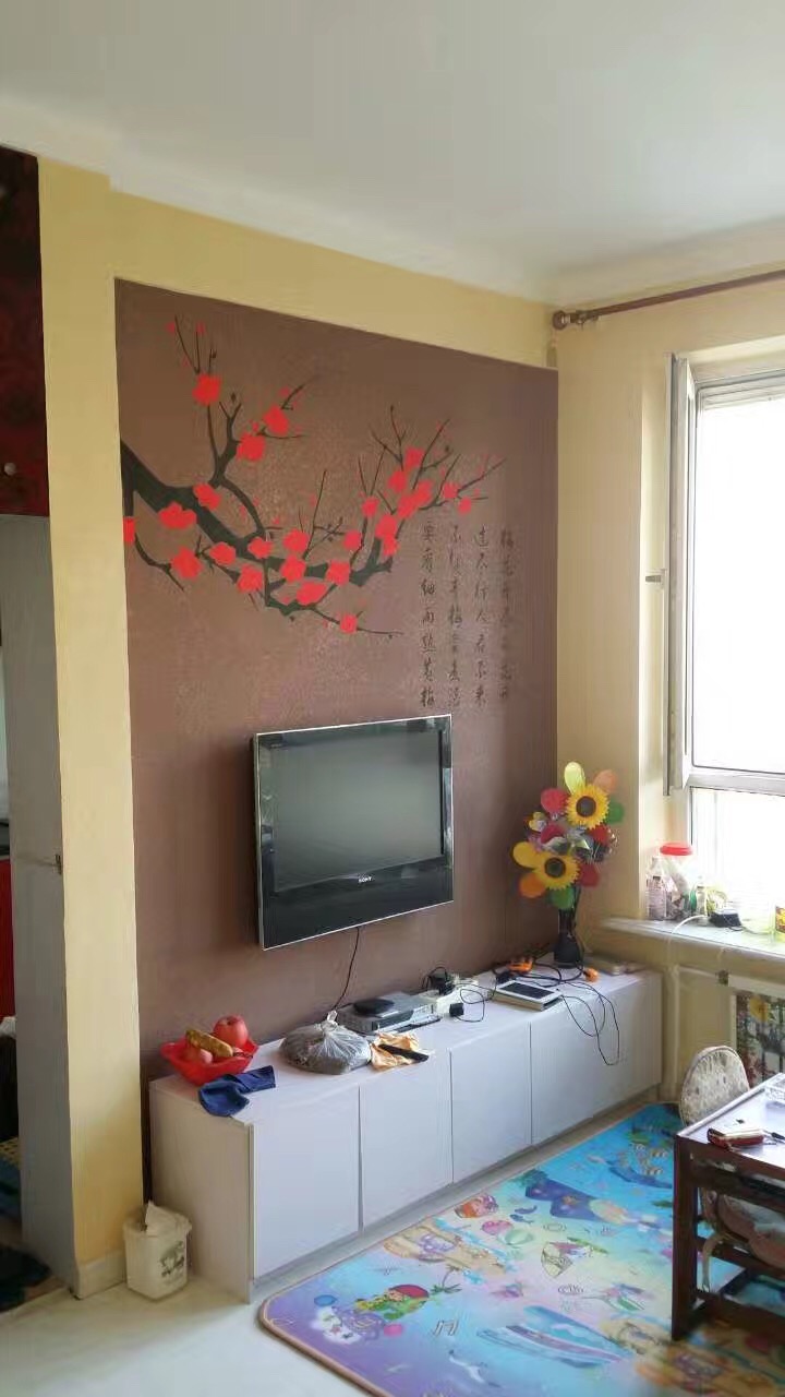 沈陽和一硅藻泥-沈陽新華一品電視背景墻施工項目