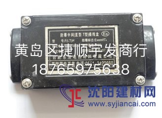 供應青島黃島區自限溫電伴熱帶接線盒，二通