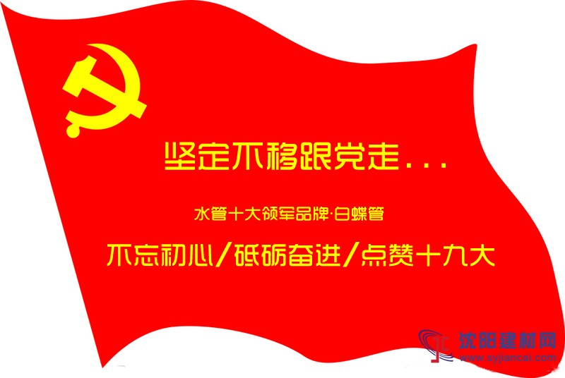 水管十大品牌企業(yè)喜迎十九大勝利召開