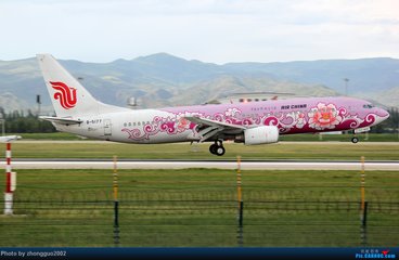 中國飛機彩繪