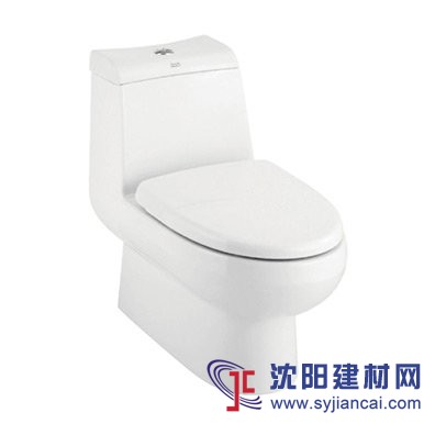 美標艾迪雅4/6升連體座廁
