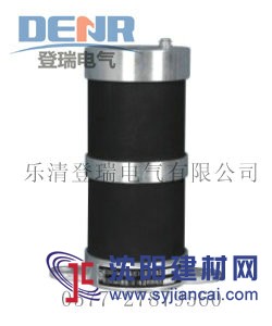 自產自銷RXQ3-10,RXQ3-10消諧器原理