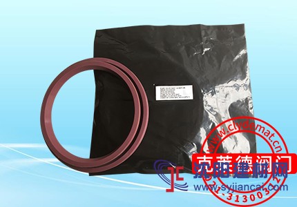 泵平衡閥插入式密封圈P17458C-01  DN100