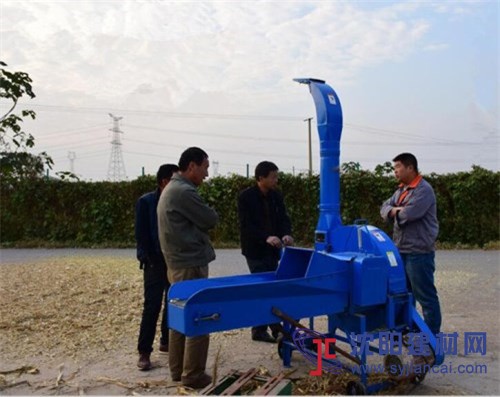 家用型鍘草機(jī) 青貯鍘草機(jī) 380v甜象草鍘草機(jī)