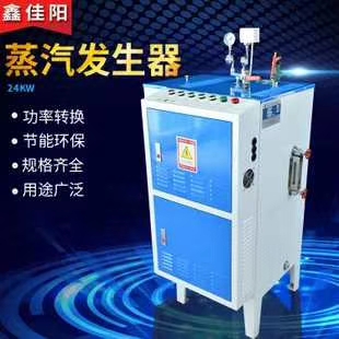 歐洲帝思邁全自動智能多燃料蒸汽發(fā)生器