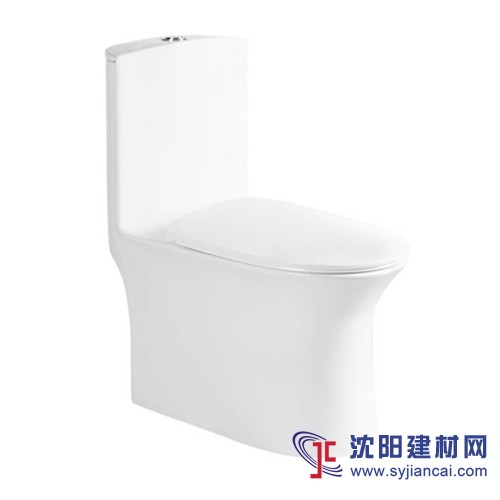 馬桶，智能馬桶，電腦坐便器，智能馬桶蓋