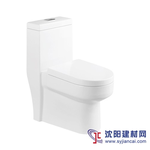 抽水馬桶，陶瓷坐便器，一體座便器，節水馬桶