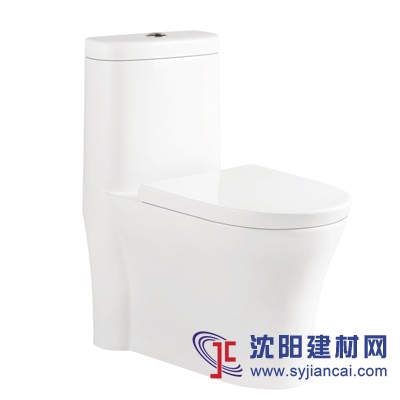 直沖式坐便器，連體坐便器，大便器